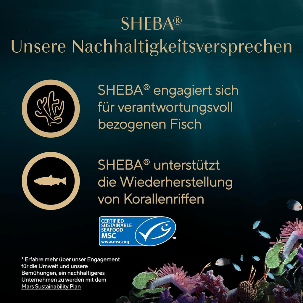 SHEBA Filets Adult Katzenfutter in Sauce Mit Huhn 16 X 60G Schale