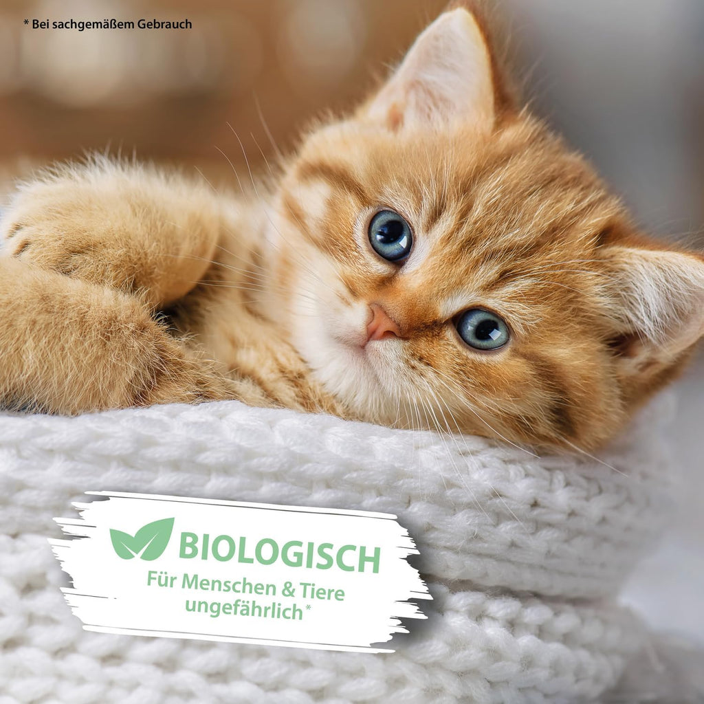 Enzymreiniger Katzenurin 750 Ml – Extrem Stark Gegen Katzenpipi, Uringeruch & Flecken – Biologisch, Tierfreundlich Und Für Sofa, Teppich, Textilien, Auto & Katzenklo – Pipi-Weg