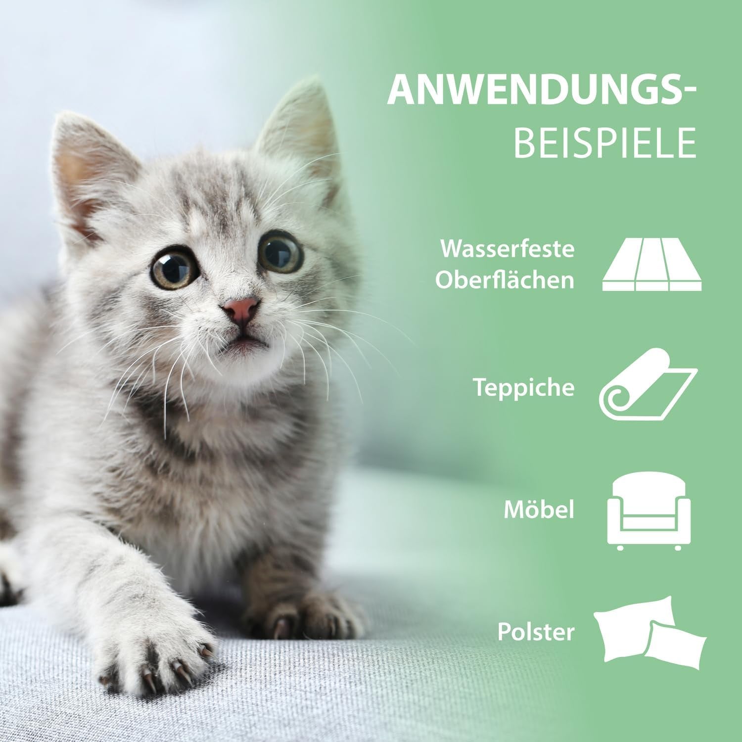 Enzymreiniger Katzenurin 750 Ml – Extrem Stark Gegen Katzenpipi, Uringeruch & Flecken – Biologisch, Tierfreundlich Und Für Sofa, Teppich, Textilien, Auto & Katzenklo – Pipi-Weg