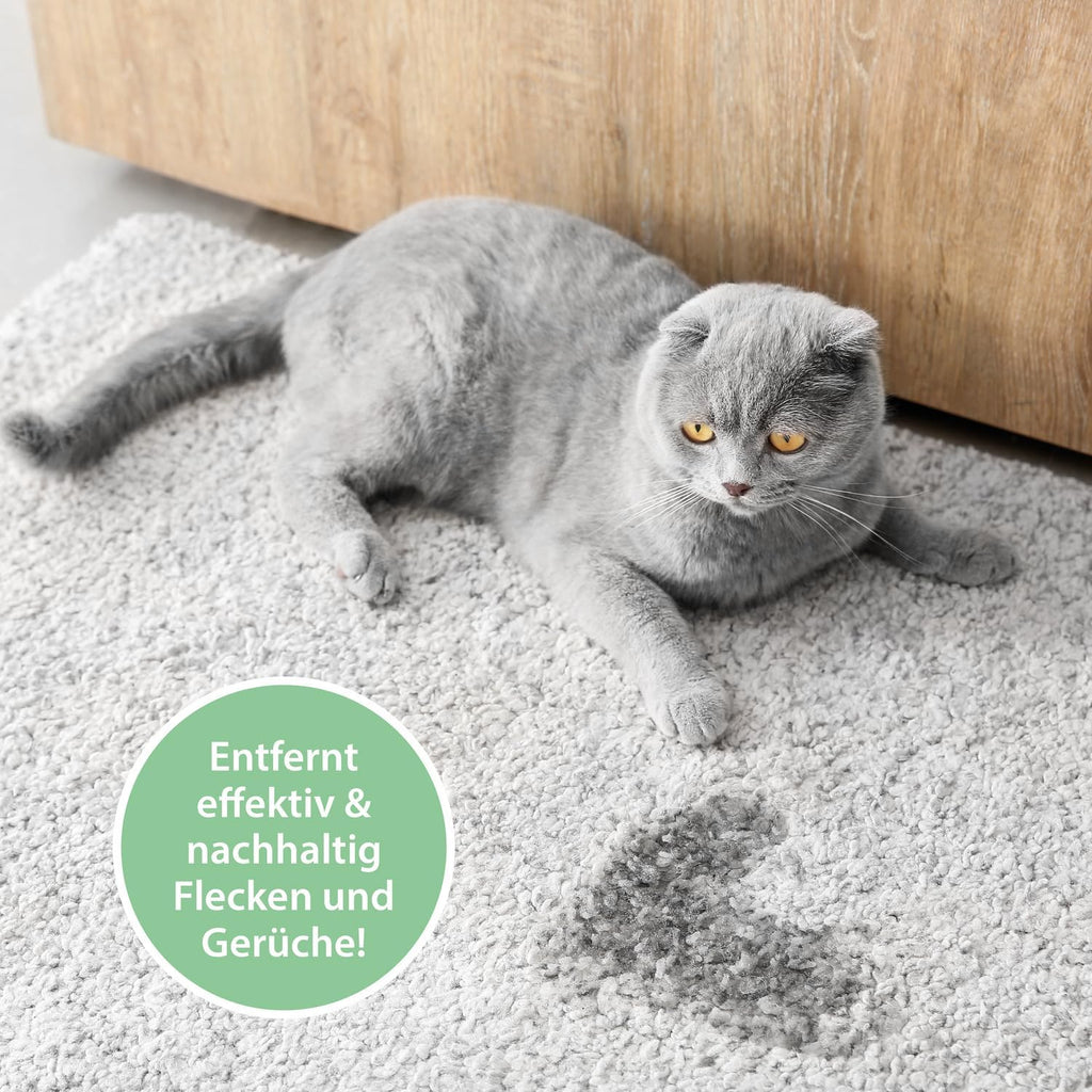 Enzymreiniger Katzenurin 750 Ml – Extrem Stark Gegen Katzenpipi, Uringeruch & Flecken – Biologisch, Tierfreundlich Und Für Sofa, Teppich, Textilien, Auto & Katzenklo – Pipi-Weg