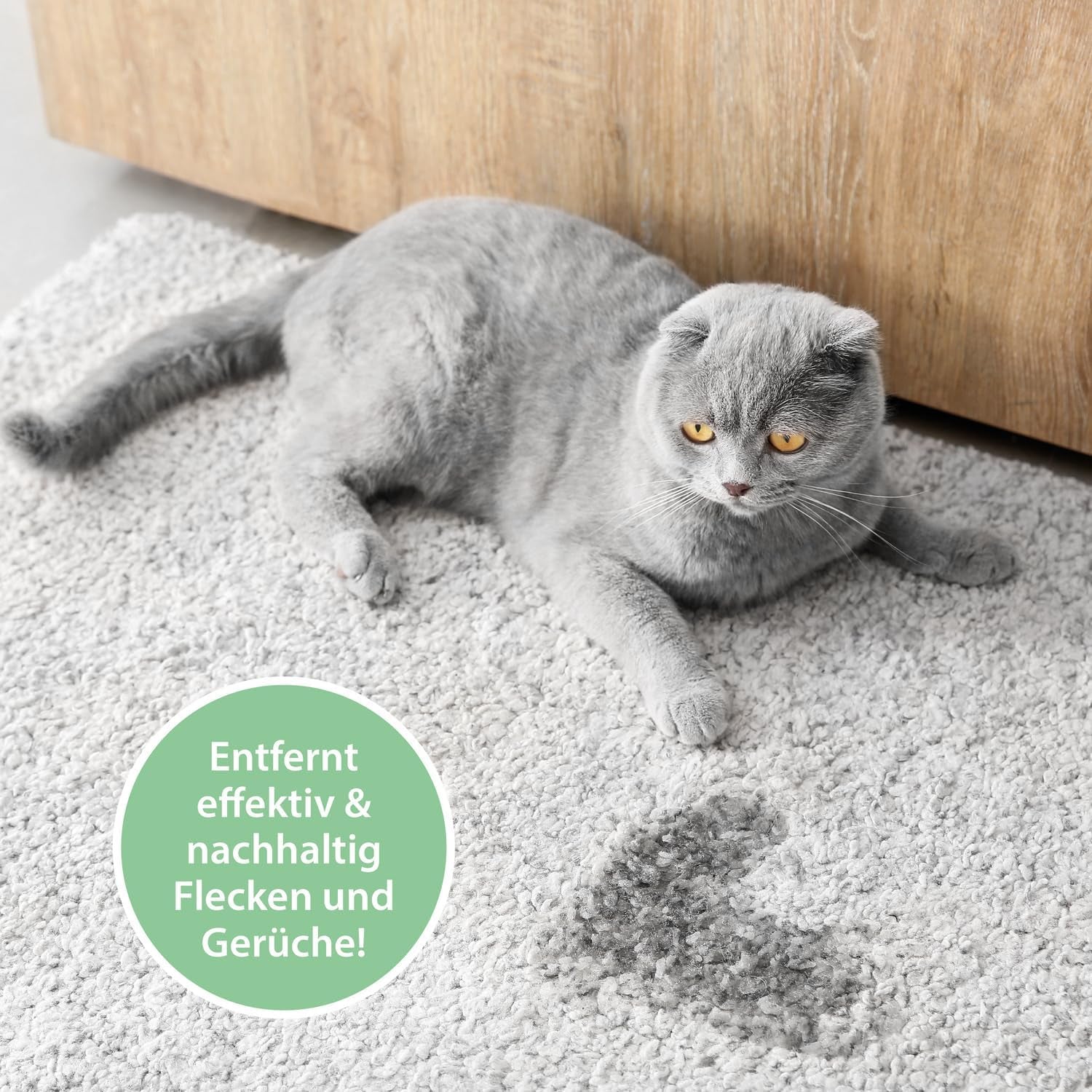 Enzymreiniger Katzenurin 750 Ml – Extrem Stark Gegen Katzenpipi, Uringeruch & Flecken – Biologisch, Tierfreundlich Und Für Sofa, Teppich, Textilien, Auto & Katzenklo – Pipi-Weg