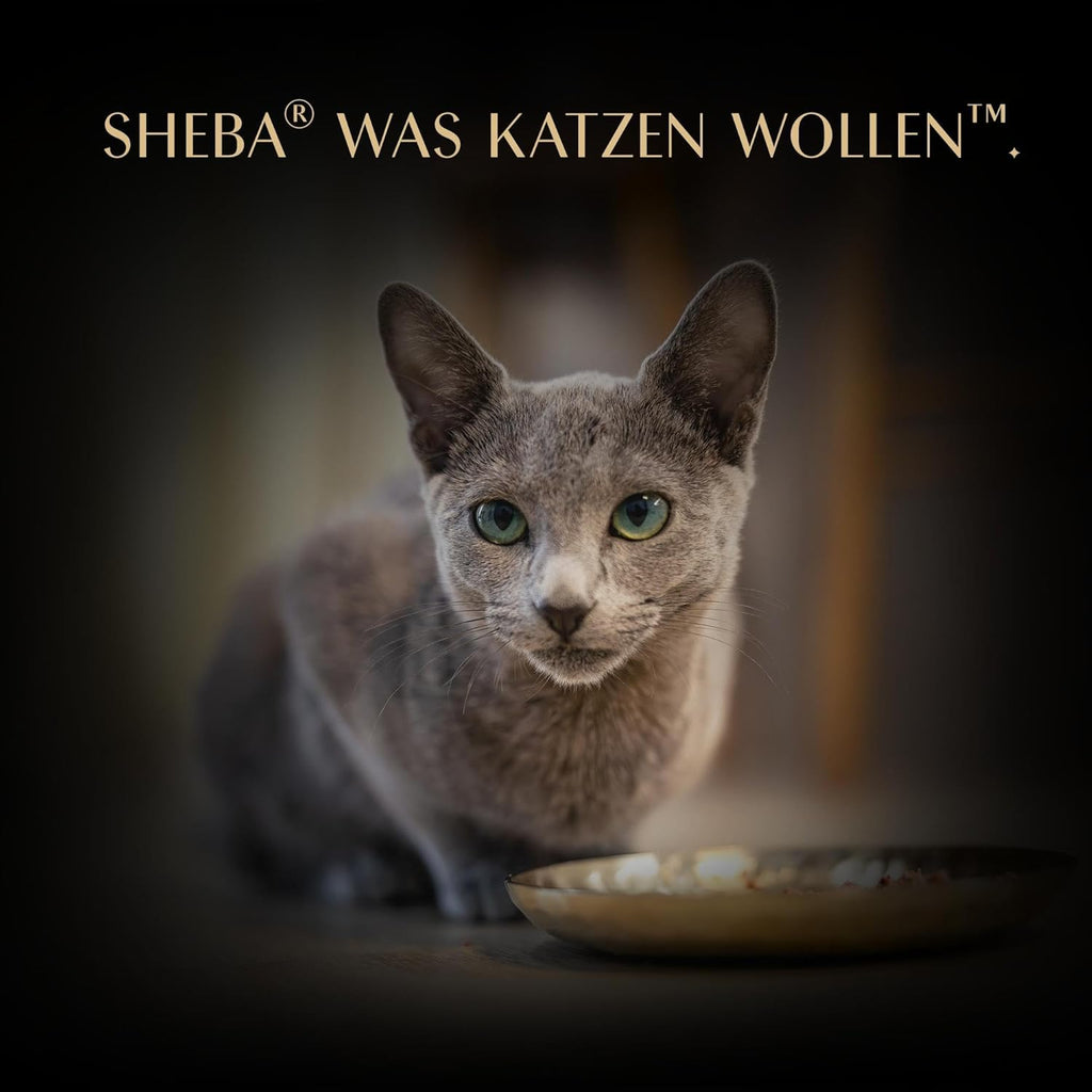 SHEBA Filets Adult Katzenfutter in Sauce Mit Huhn 16 X 60G Schale