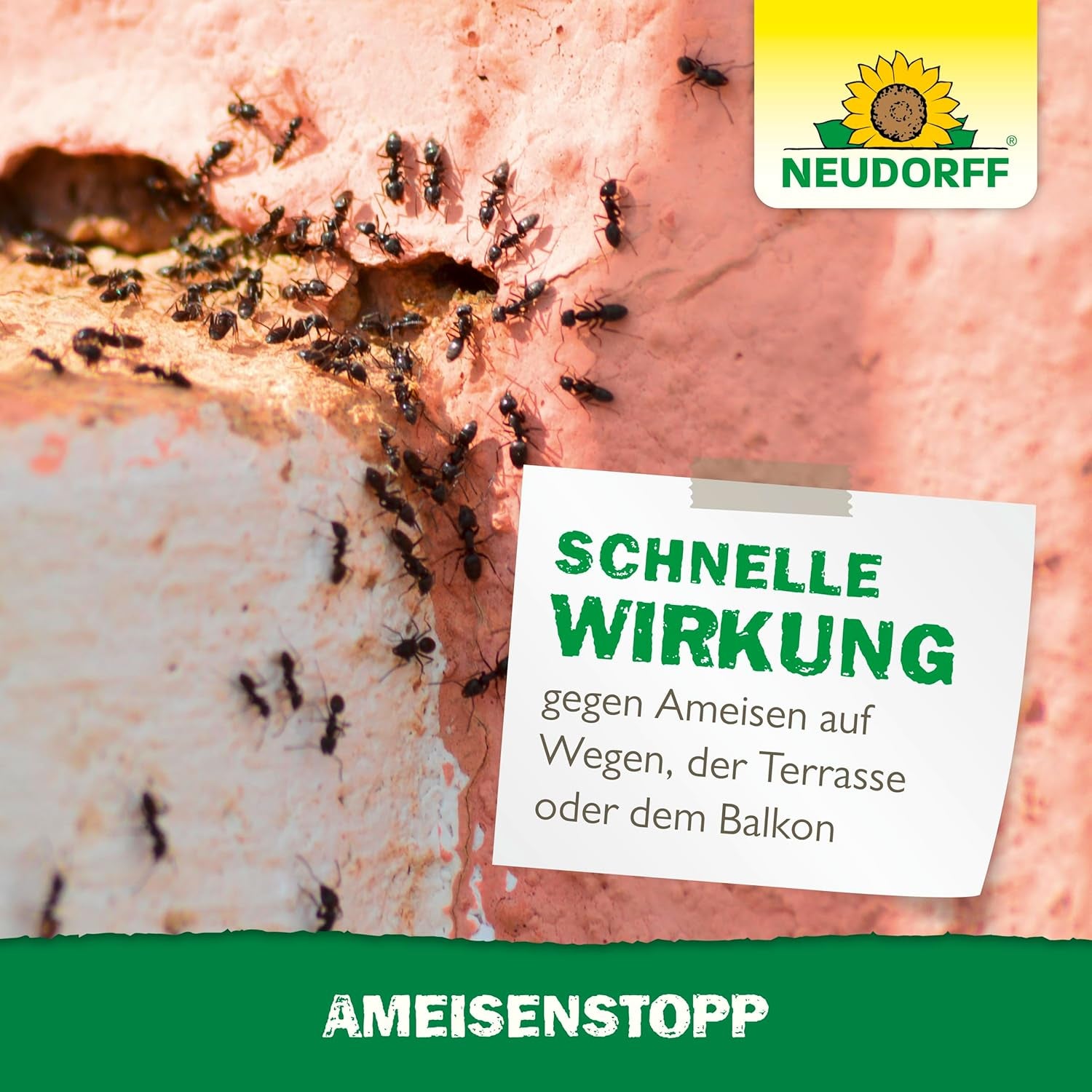 Neudorff Ameisenstopp – Ameisenstreumittel Mit Sofortwirkung Schützt Effektiv Gegen Ameisen Rund Ums Haus. Ameisenmittel Zum Streuen Oder Gießen, 300 G