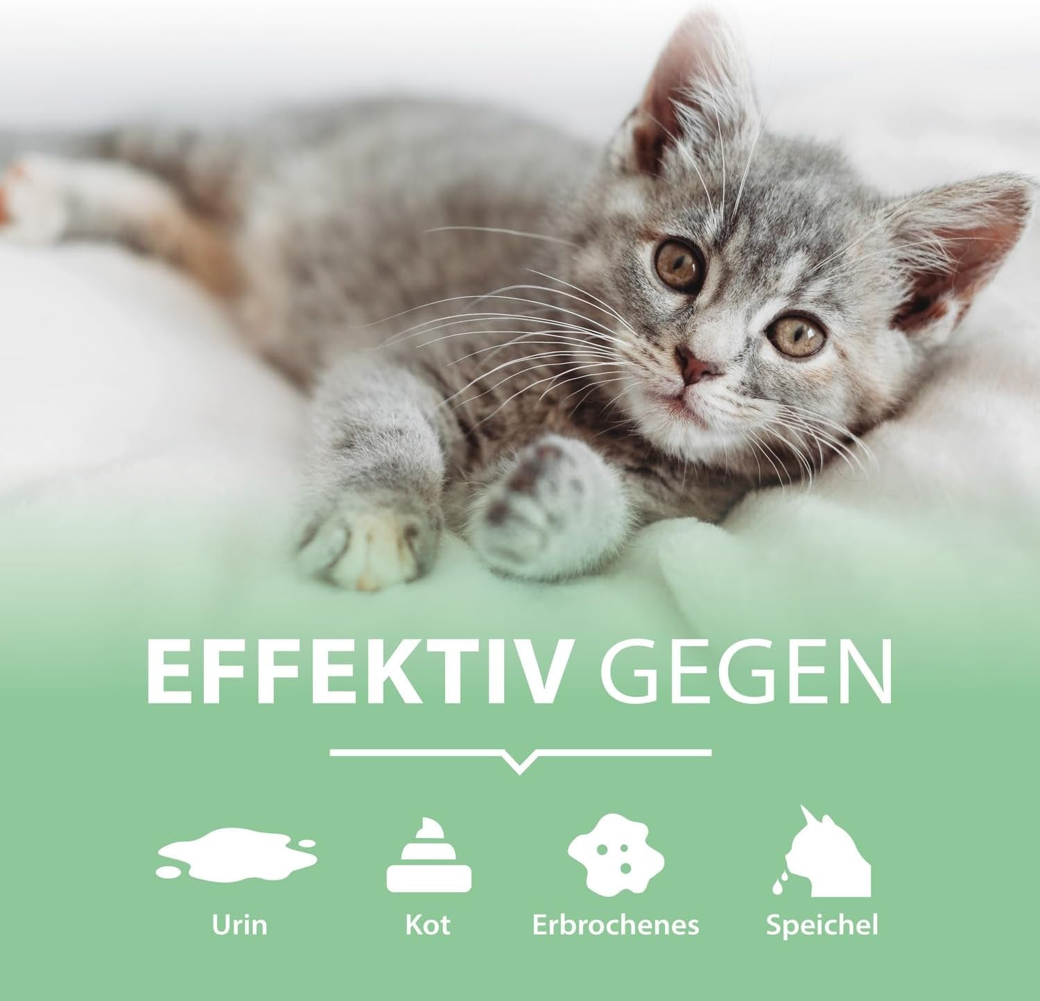Enzymreiniger Katzenurin 750 Ml – Extrem Stark Gegen Katzenpipi, Uringeruch & Flecken – Biologisch, Tierfreundlich Und Für Sofa, Teppich, Textilien, Auto & Katzenklo – Pipi-Weg