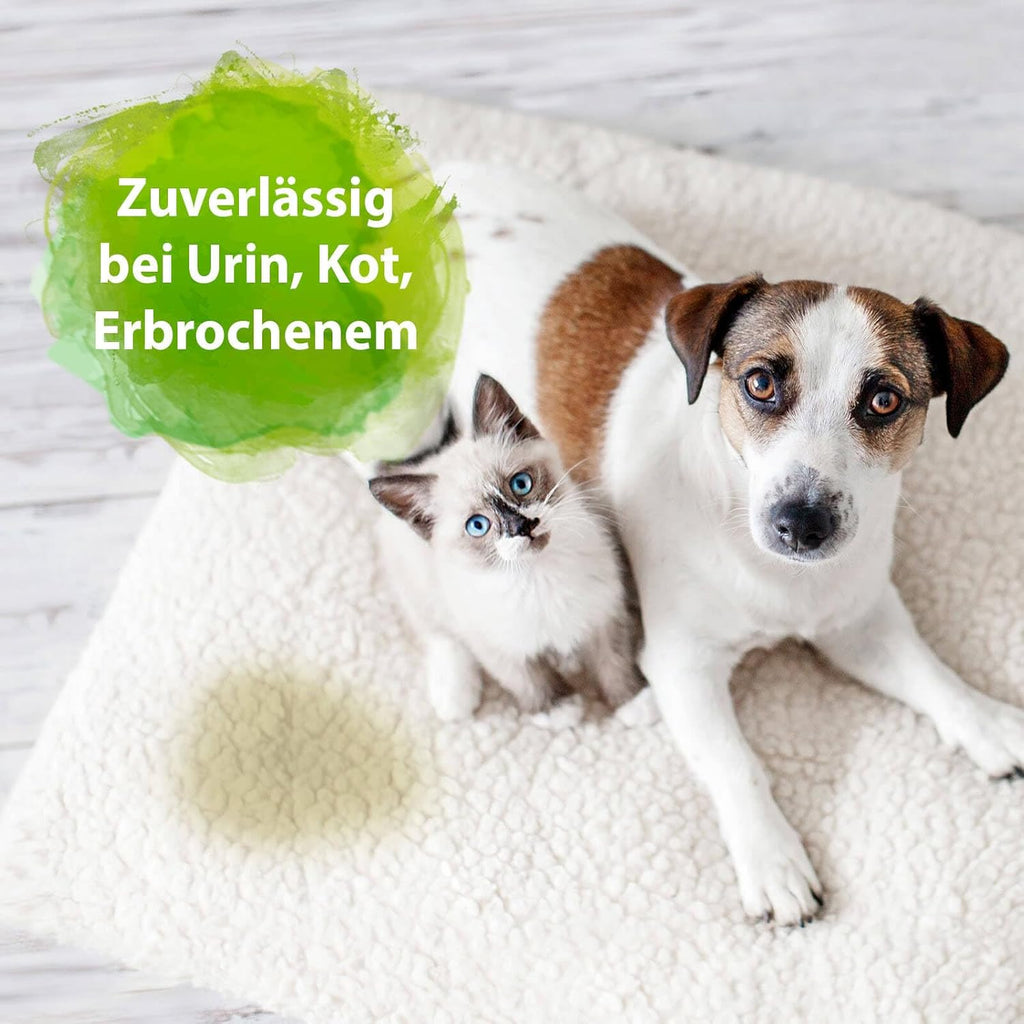 Bactador Enzymreiniger Spray 750Ml - Geruchsentferner & Fleckenentferner, Hundeurin & Katzenurin Entferner, Mikrobiologischer Geruchsneutralisierer, Polsterreiniger, Porentiefe Reinigung