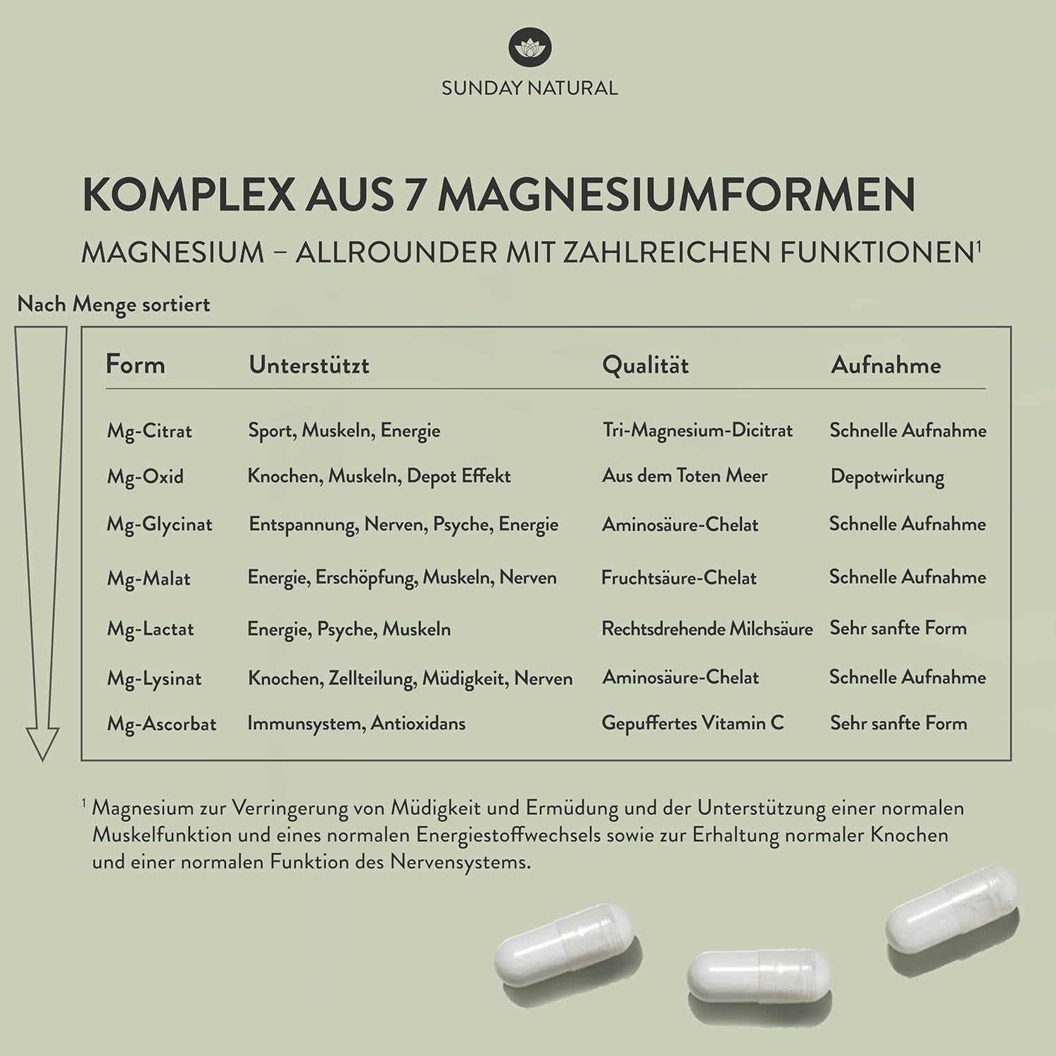 SUNDAY NATURAL® Magnesium Komplex – 240 Kapseln - 400Mg Pro Tag - Aus 7 Verbindungen: Magnesium Bisglycinat, Citrat, Malat, Laktat, Ascorbat, Oxid, Lysinat - Vegan, Laborgeprüft